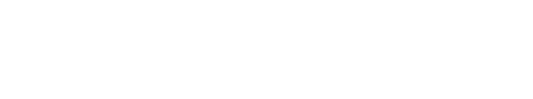 Level